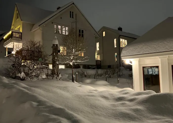 Lys, Koselig Og Sentrumsnaer Leilighet I Stille Villastrok!