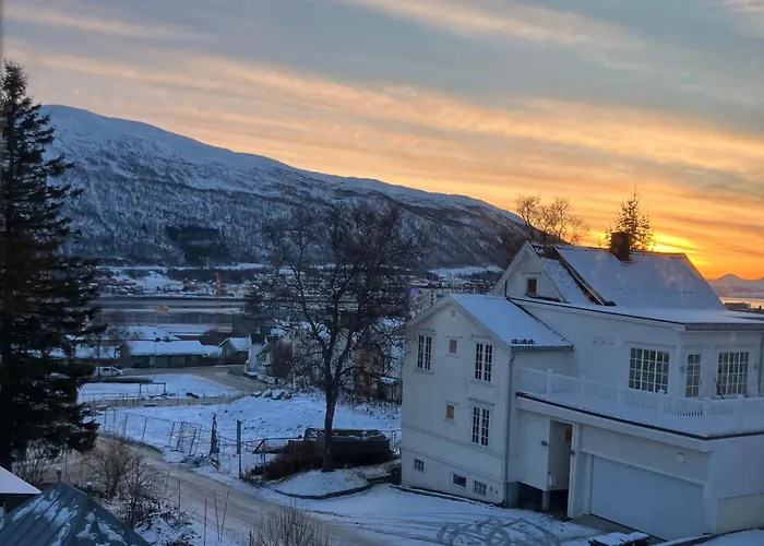 Lys, Koselig Og Sentrumsnaer Leilighet I Stille Villastrok!