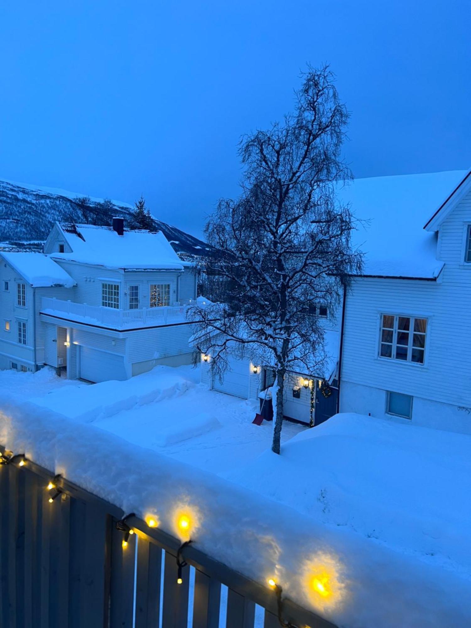 Lys, Koselig Og Sentrumsnaer I Stille Villastrok! *