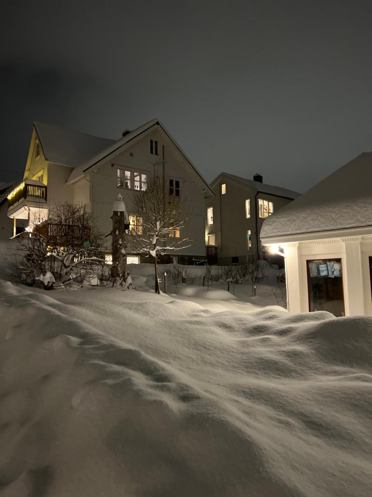 Apartment Lys, Koselig Og Sentrumsnaer I Stille Villastrok! *